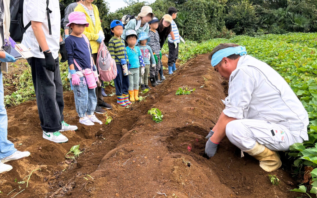 野菜レストランさいとう