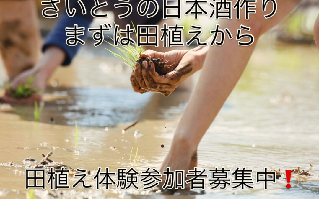 【田植え体験のご案内】