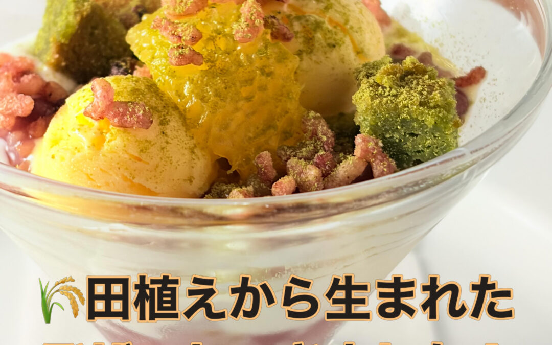 田植えから生まれたデザートできました！