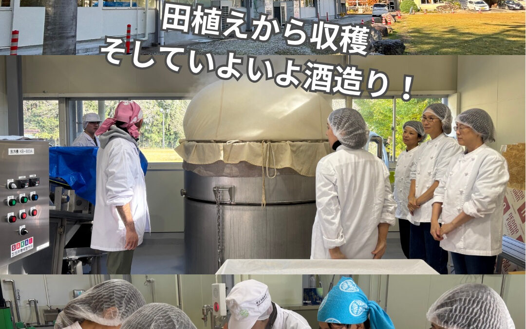 米から始まる物語